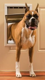 PetSafe Freedom Pet Door - Large
