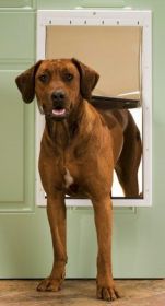 PetSafe Plastic Dog Door - Extra Large